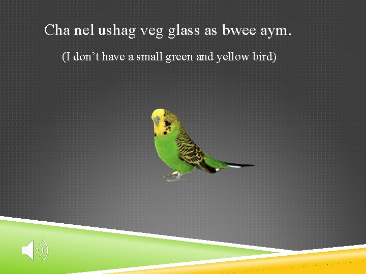 Cha nel ushag veg glass as bwee aym. (I don’t have a small green