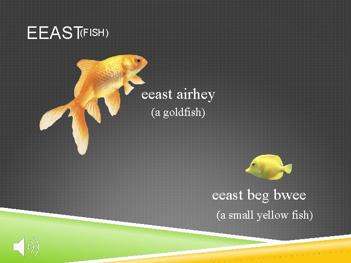 EEAST(FISH) eeast airhey (a goldfish) eeast beg bwee (a small yellow fish) 