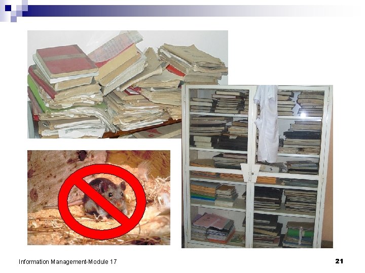 Information Management-Module 17 21 