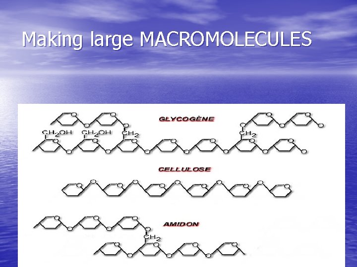 Making large MACROMOLECULES Typically the macromolecules are held together by a bond with oxygen. Making large MACROMOLECULES Typically the macromolecules are held together by a bond with oxygen.