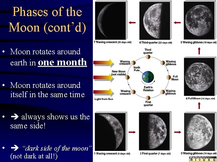 Phases of the Moon (cont’d) • Moon rotates around earth in one month •