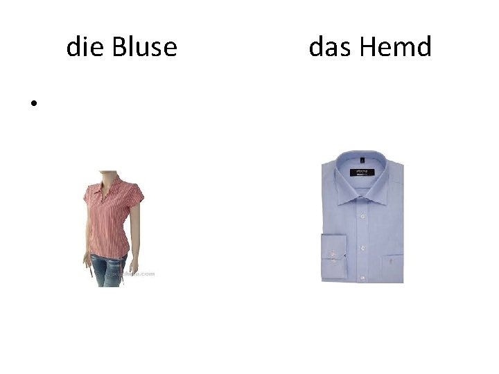 die Bluse • das Hemd 