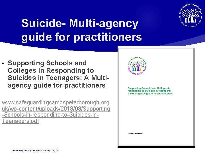 Suicide- Multi-agency guide for practitioners • Supporting Schools and Colleges in Responding to Suicides