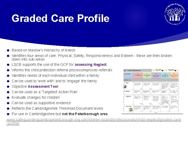 Graded Care Profile Based on Maslow’s Hierarchy of Needs Identifies four areas of care: