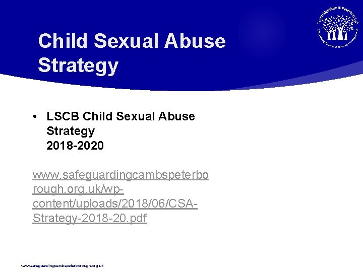 Child Sexual Abuse Strategy • LSCB Child Sexual Abuse Strategy 2018 -2020 www. safeguardingcambspeterbo