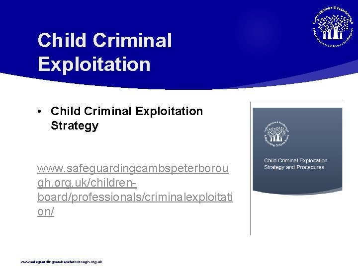 Child Criminal Exploitation • Child Criminal Exploitation Strategy www. safeguardingcambspeterborou gh. org. uk/childrenboard/professionals/criminalexploitati on/