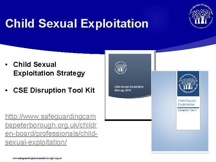 Child Sexual Exploitation • Child Sexual Exploitation Strategy • CSE Disruption Tool Kit http: