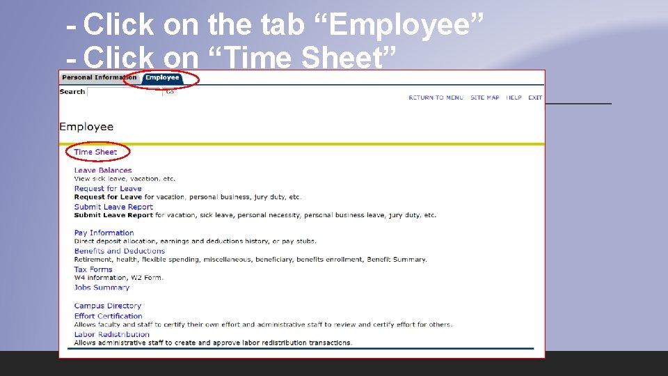 - Click on the tab “Employee” - Click on “Time Sheet” 