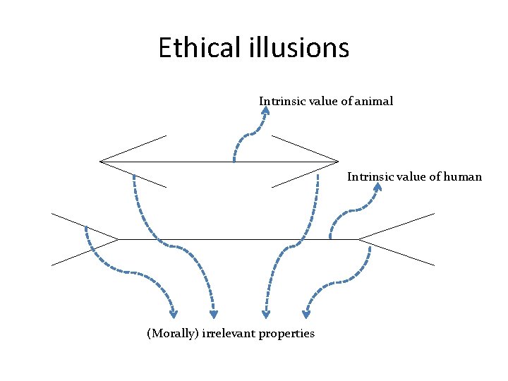 Ethical illusions Intrinsic value of animal Intrinsic value of human (Morally) irrelevant properties 