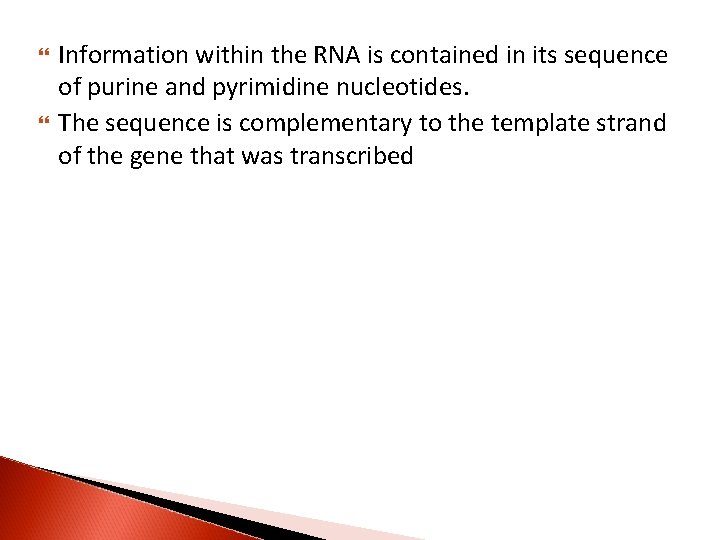  Information within the RNA is contained in its sequence of purine and pyrimidine