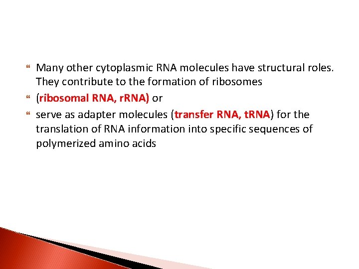  Many other cytoplasmic RNA molecules have structural roles. They contribute to the formation