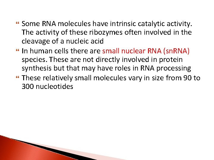  Some RNA molecules have intrinsic catalytic activity. The activity of these ribozymes often