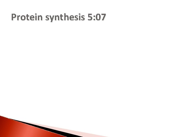 Protein synthesis 5: 07 