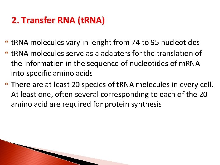 2. Transfer RNA (t. RNA) t. RNA molecules vary in lenght from 74 to