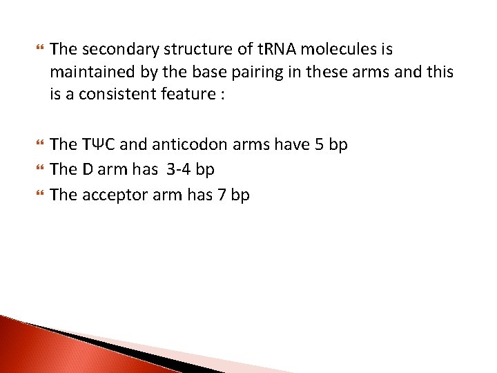  The secondary structure of t. RNA molecules is maintained by the base pairing