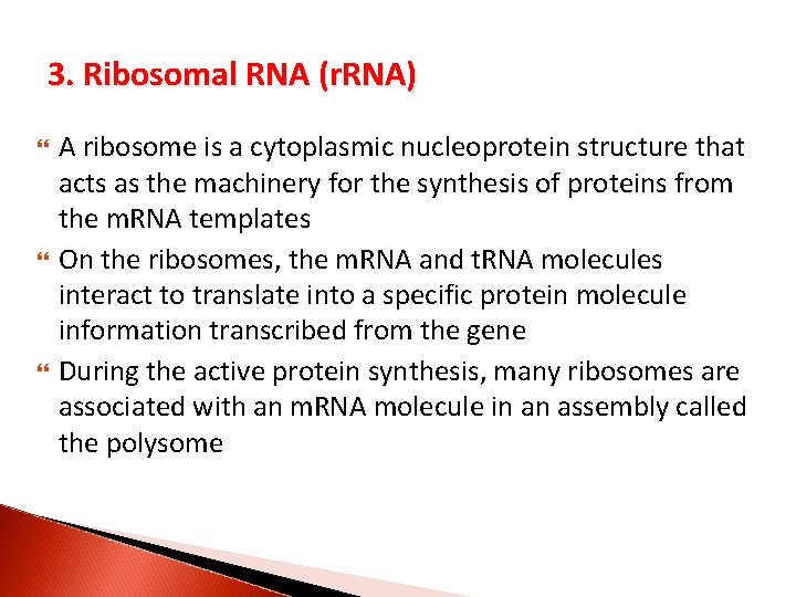 3. Ribosomal RNA (r. RNA) A ribosome is a cytoplasmic nucleoprotein structure that acts