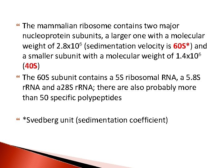  The mammalian ribosome contains two major nucleoprotein subunits, a larger one with a