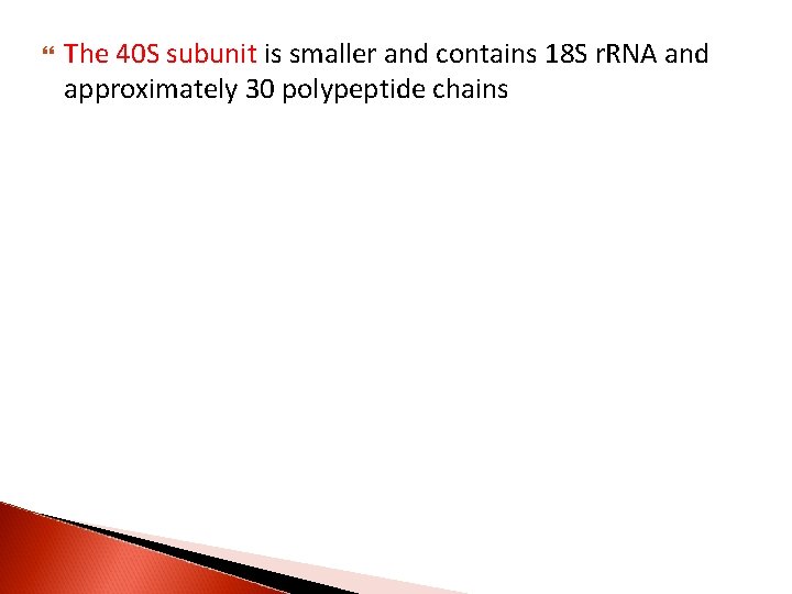  The 40 S subunit is smaller and contains 18 S r. RNA and