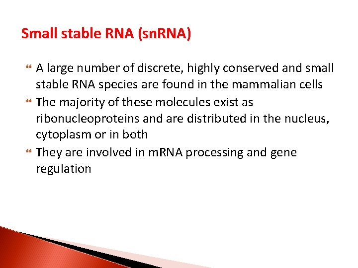 Small stable RNA (sn. RNA) A large number of discrete, highly conserved and small