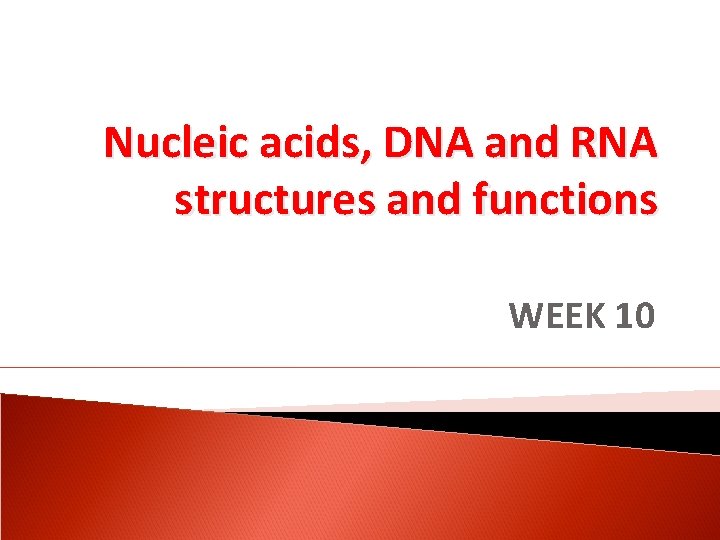 Nucleic acids, DNA and RNA structures and functions WEEK 10 