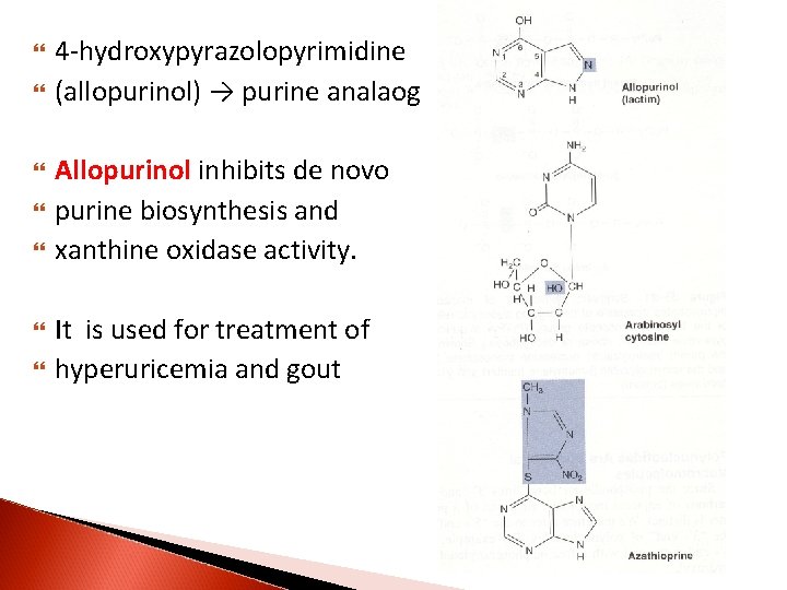  4 -hydroxypyrazolopyrimidine (allopurinol) → purine analaog Allopurinol inhibits de novo purine biosynthesis and