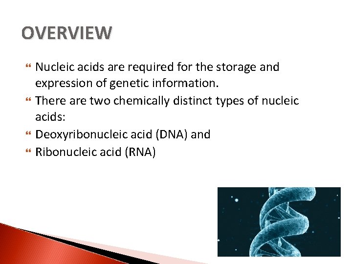 OVERVIEW Nucleic acids are required for the storage and expression of genetic information. There