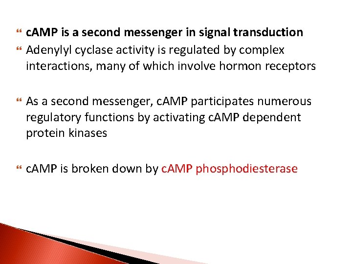  c. AMP is a second messenger in signal transduction Adenylyl cyclase activity is