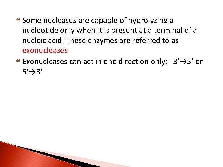  Some nucleases are capable of hydrolyzing a nucleotide only when it is present
