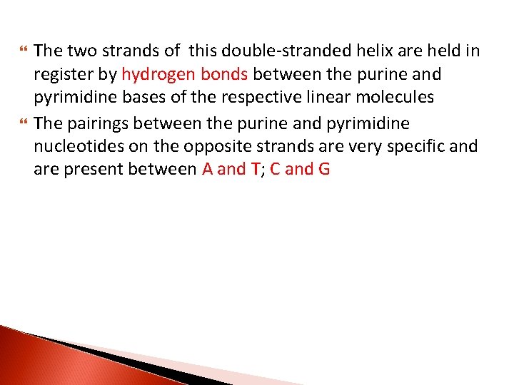  The two strands of this double-stranded helix are held in register by hydrogen