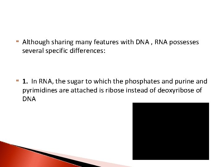  Although sharing many features with DNA , RNA possesses several specific differences: 1.