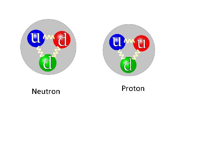 Neutron Proton 