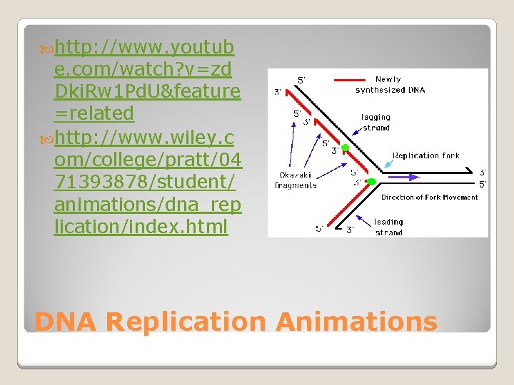  http: //www. youtub e. com/watch? v=zd Dki. Rw 1 Pd. U&feature =related http: