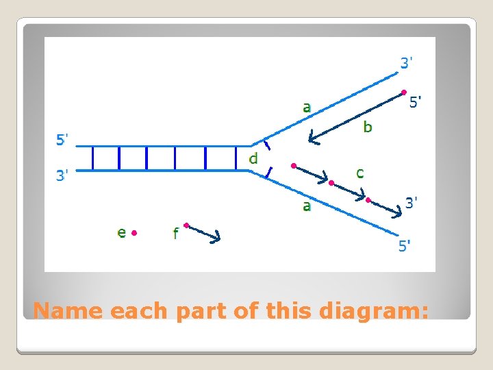 Name each part of this diagram: 