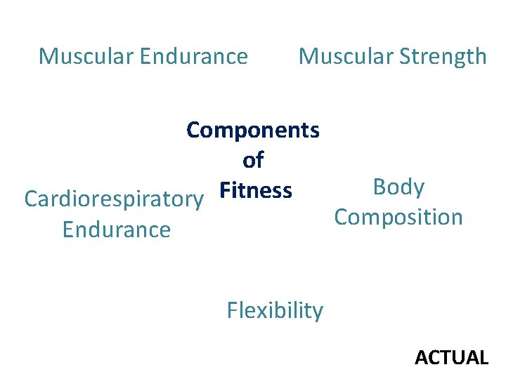 Muscular Endurance Muscular Strength Components of Cardiorespiratory Fitness Endurance Body Composition Flexibility ACTUAL 