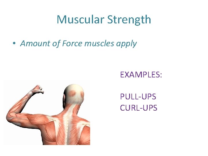 Muscular Strength • Amount of Force muscles apply EXAMPLES: PULL-UPS CURL-UPS 