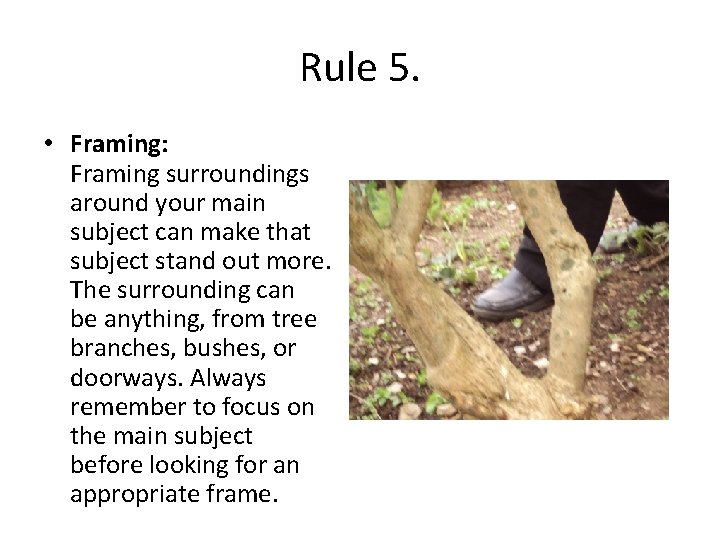 Rule 5. • Framing: Framing surroundings around your main subject can make that subject