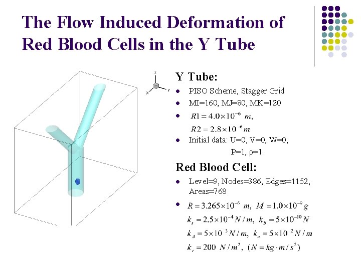 The Flow Induced Deformation of Red Blood Cells in the Y Tube: l l