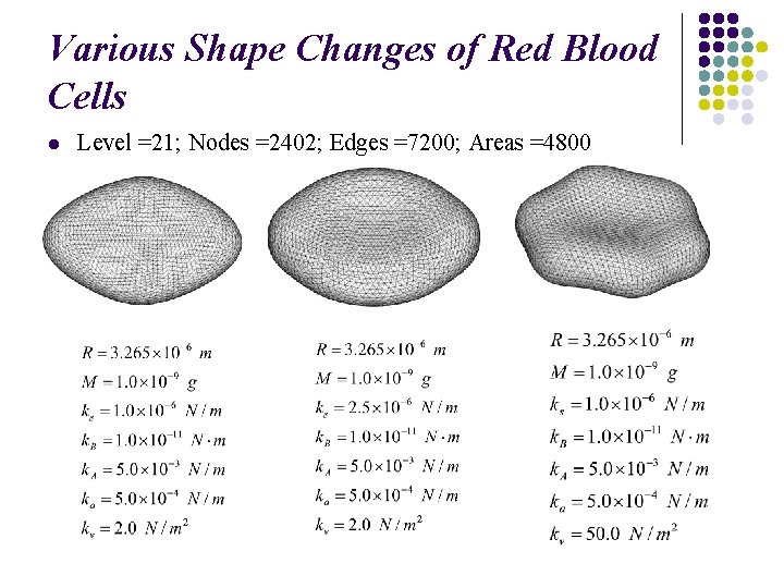 Various Shape Changes of Red Blood Cells l Level =21; Nodes =2402; Edges =7200;