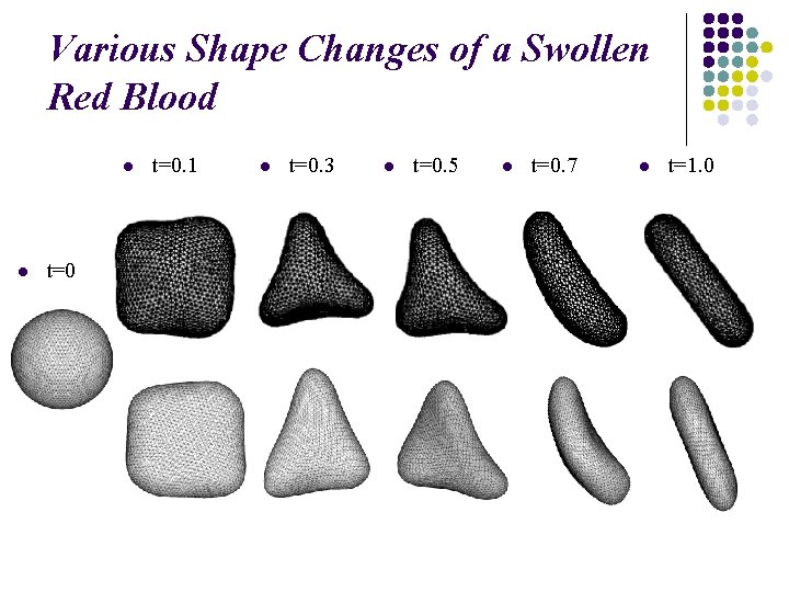 Various Shape Changes of a Swollen Red Blood l l t=0. 1 l t=0.