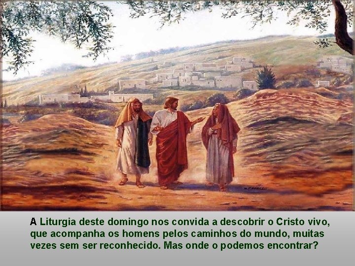 A Liturgia deste domingo nos convida a descobrir o Cristo vivo, que acompanha os