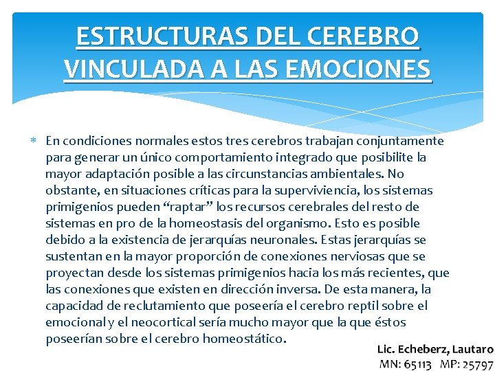 ESTRUCTURAS DEL CEREBRO VINCULADA A LAS EMOCIONES En condiciones normales estos tres cerebros trabajan