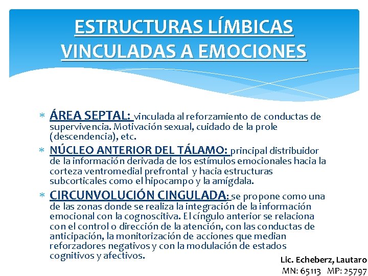 ESTRUCTURAS LÍMBICAS VINCULADAS A EMOCIONES ÁREA SEPTAL: vinculada al reforzamiento de conductas de supervivencia.