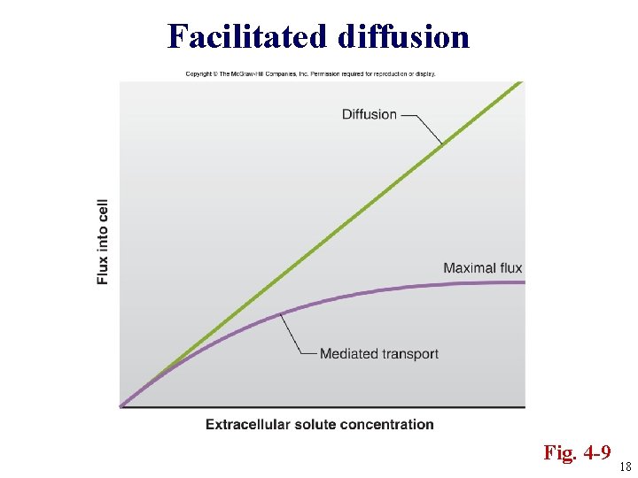 Facilitated diffusion Fig. 4 -9 18 