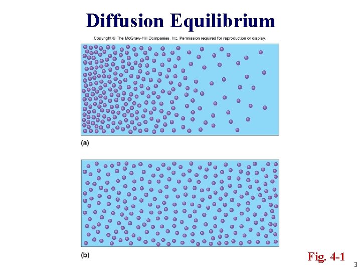 Diffusion Equilibrium Fig. 4 -1 3 
