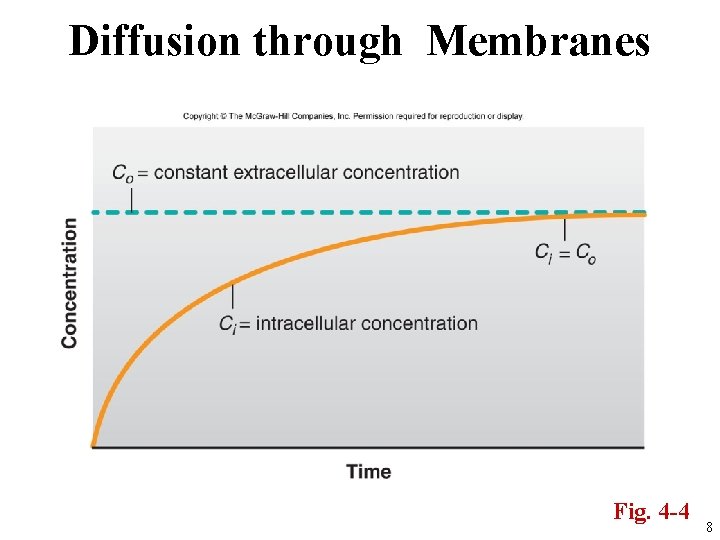 Diffusion through Membranes Fig. 4 -4 8 