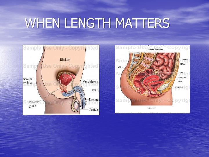 WHEN LENGTH MATTERS 