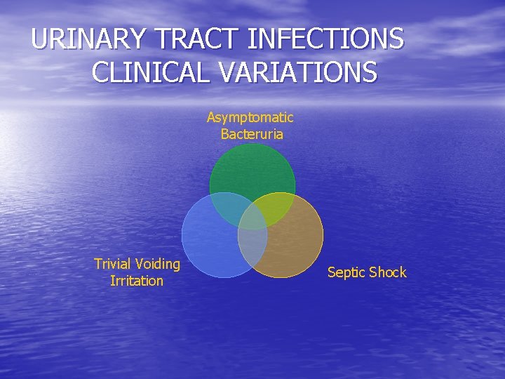 URINARY TRACT INFECTIONS CLINICAL VARIATIONS Asymptomatic Bacteruria Trivial Voiding Irritation Septic Shock 