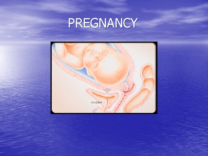 PREGNANCY 