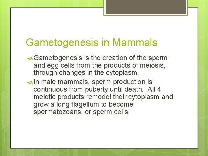 Gametogenesis in Mammals Gametogenesis is the creation of the sperm and egg cells from