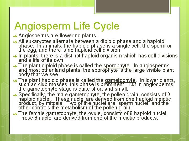Angiosperm Life Cycle Angiosperms are flowering plants. All eukaryotes alternate between a diploid phase